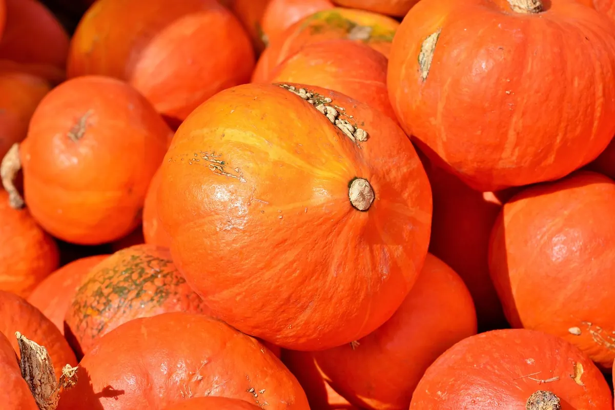 Cumbrian Seasonal Produce Calendar: What to Buy Month by Month